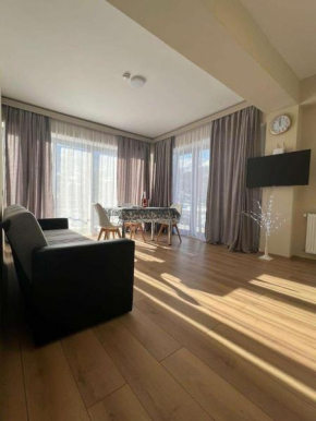 Bakuriani oasis WINDOW DEVELOPMENT 1